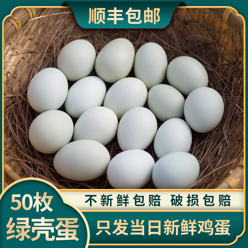 顺丰包邮【4.5-5斤】50枚绿壳 正宗农家散养土鸡蛋现捡现发自产自销