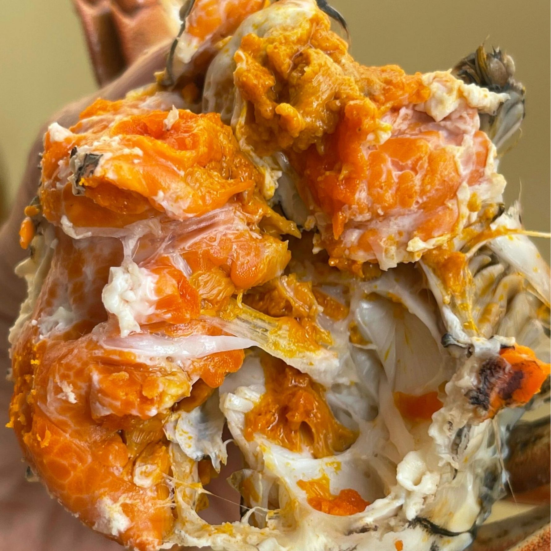 【活蟹】段腿自己吃公母蟹3斤鲜活大闸蟹2.5两以上6只以上顺丰