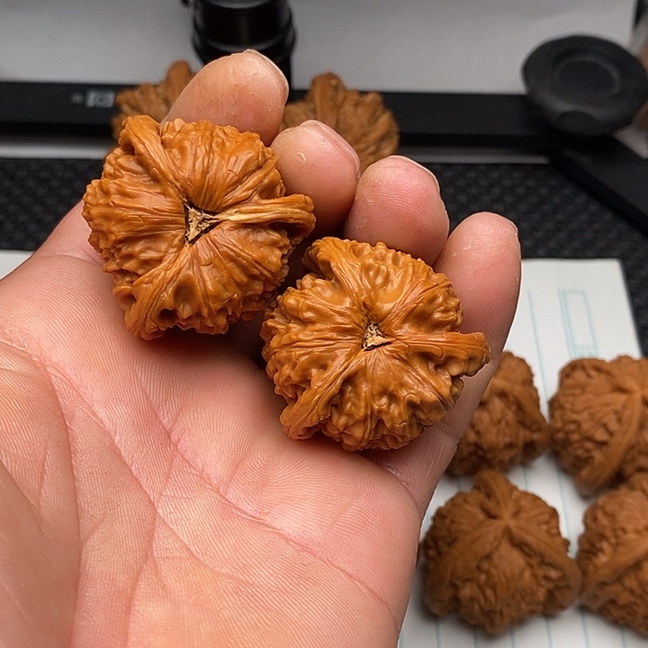 手串/手链核桃白狮子1