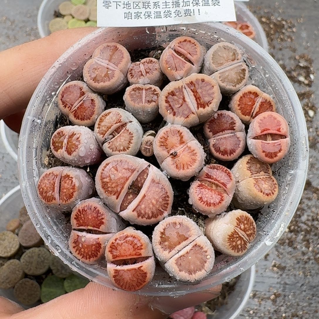 216满18包邮保温袋联系客服