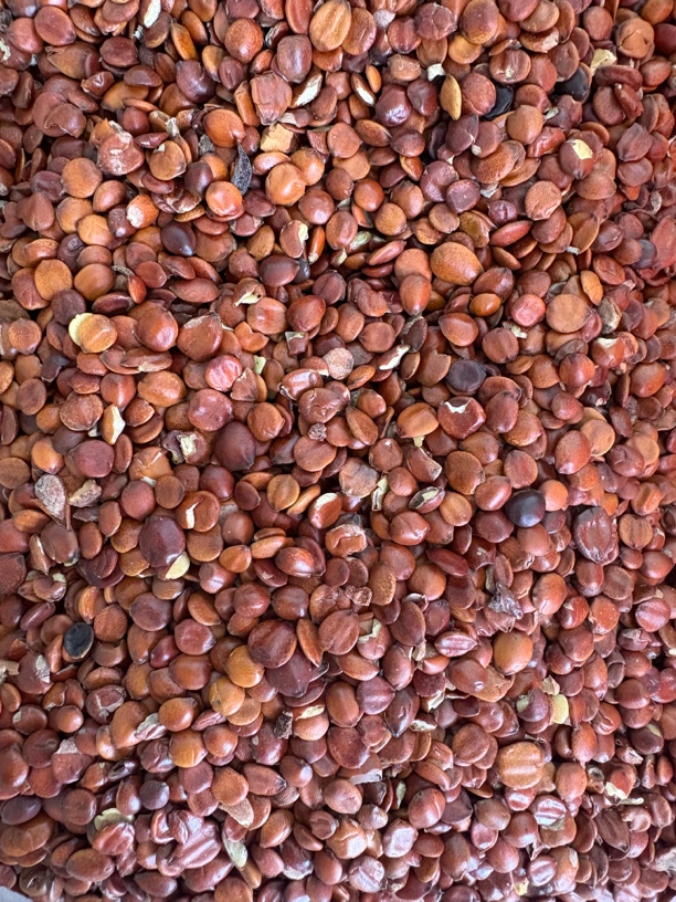 酸枣仁，赶集人，土特产