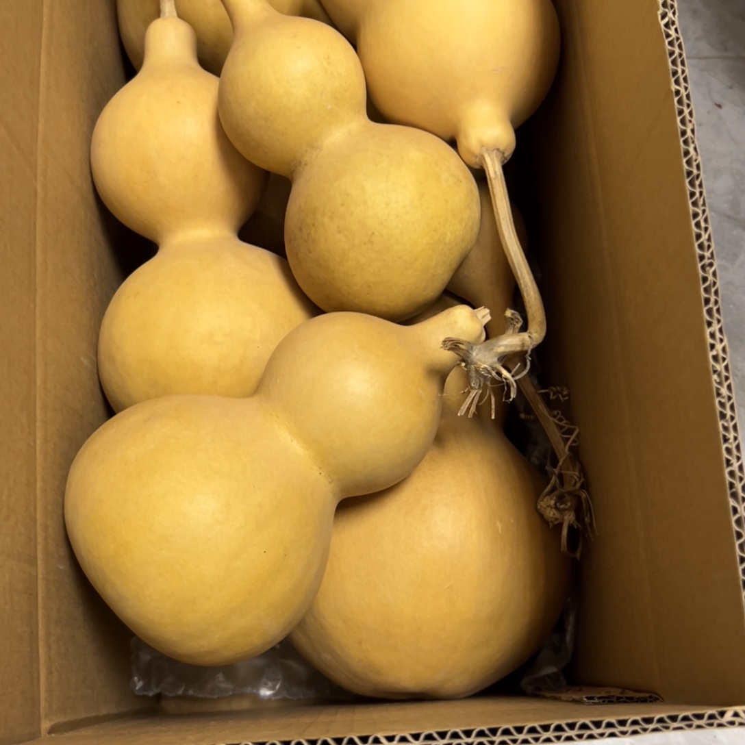 老***长有机玻璃葫芦葫芦葫芦