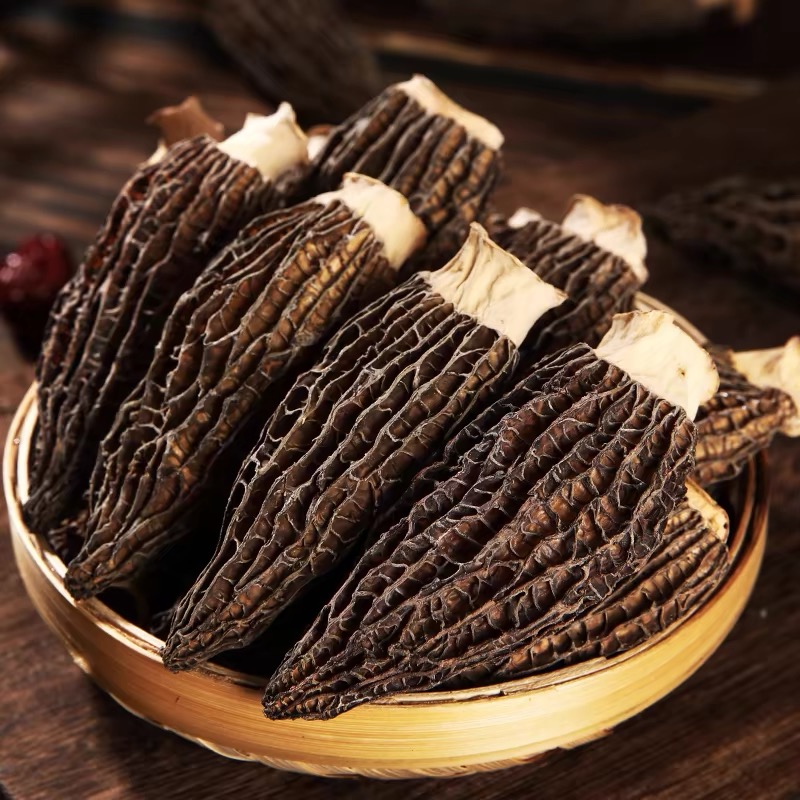 悠鲜说（高山羊肚菌）古田高山羊肚菌鲜香甄选美味新鲜煲汤食材