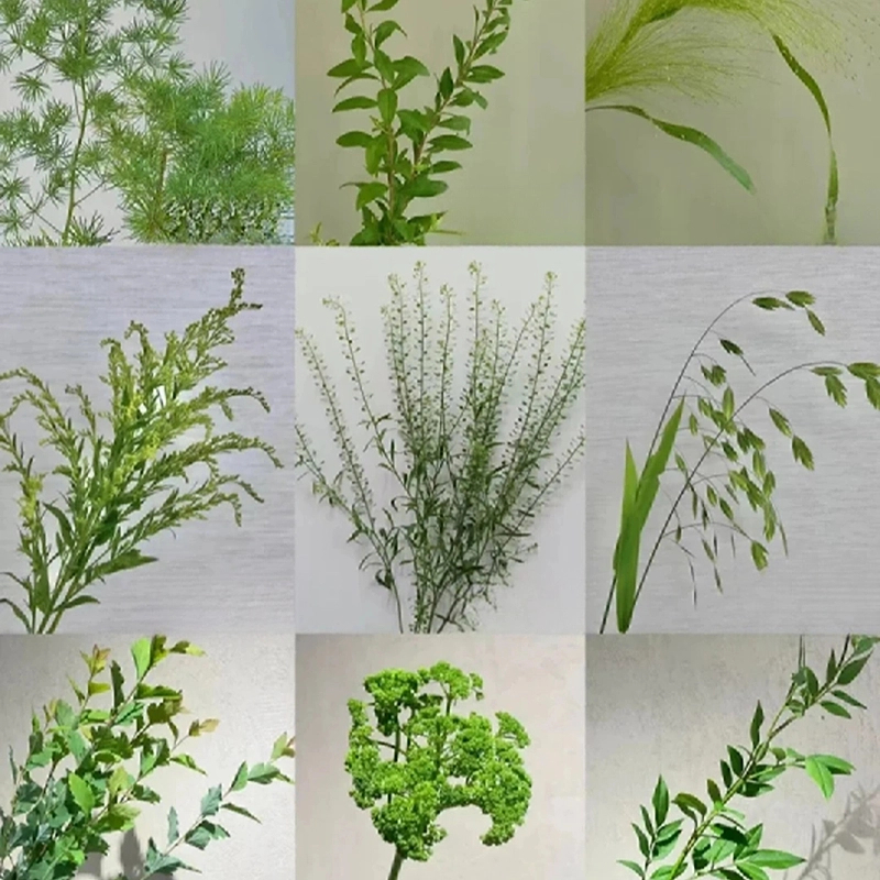 【配草配花】云南鲜花源头直发