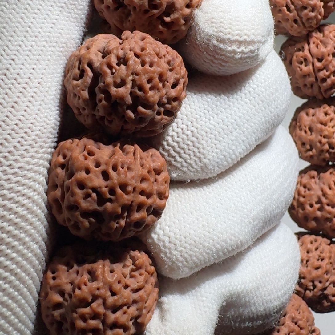 金刚菩提吊坠古龙蜂王21