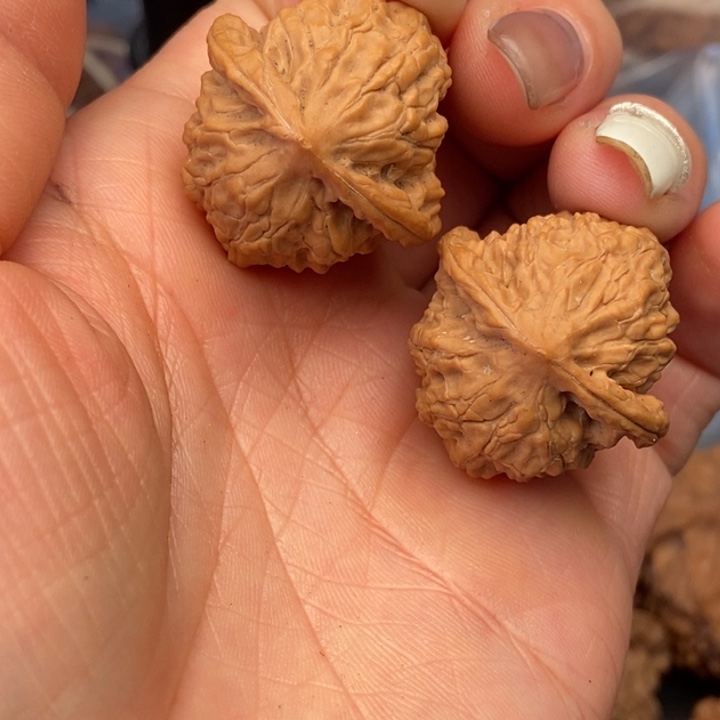 小***董把件文玩核桃玲珑