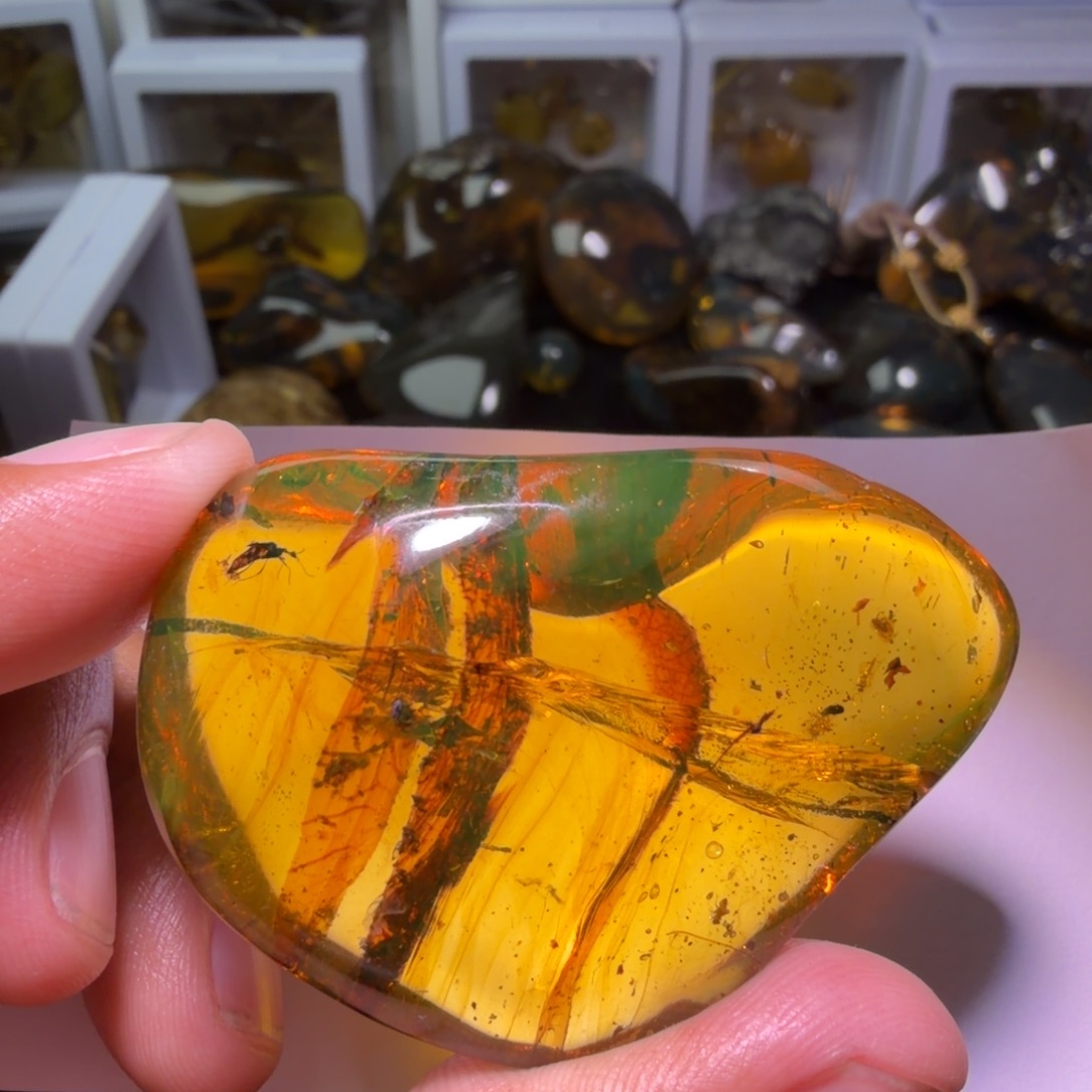 x***y琥珀未镶嵌裸石《切开做两个》