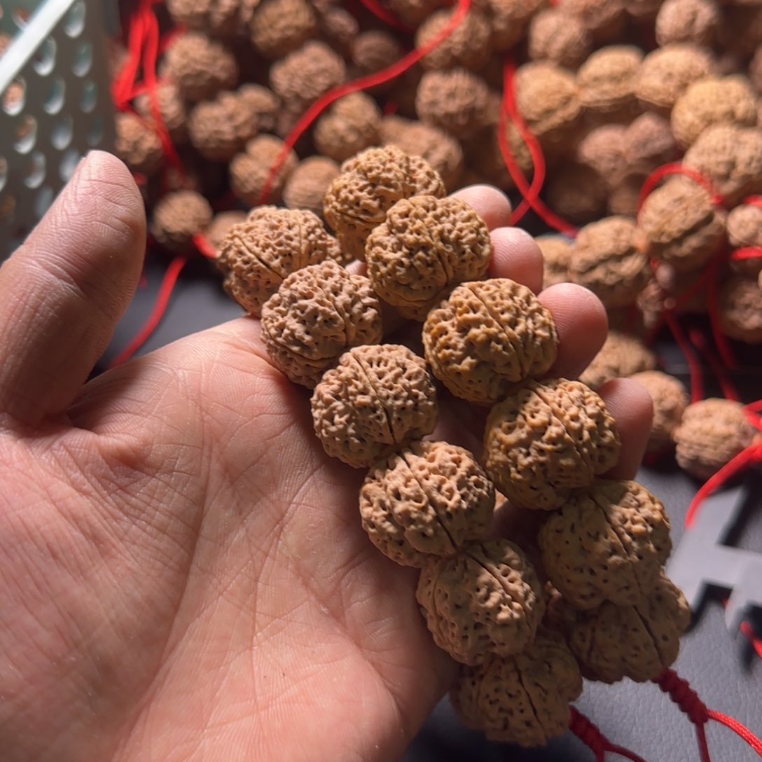 金刚菩提手串23霸王龙