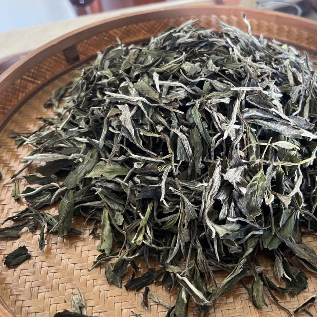 福鼎白茶磻溪高山2025年 荒野白牡丹（E）