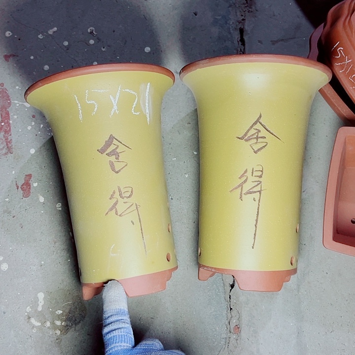 红陶紫砂紫砂紫砂