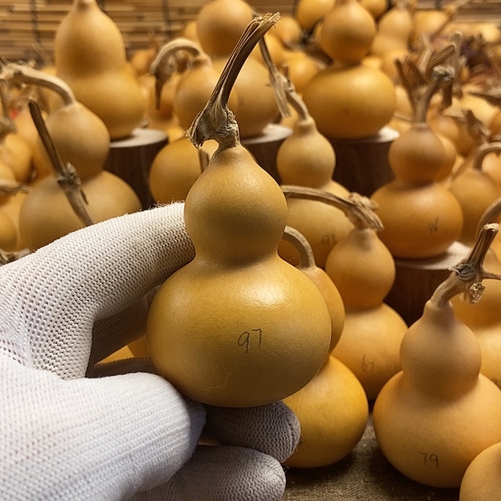 文玩葫芦 完美主义者 慎拍97