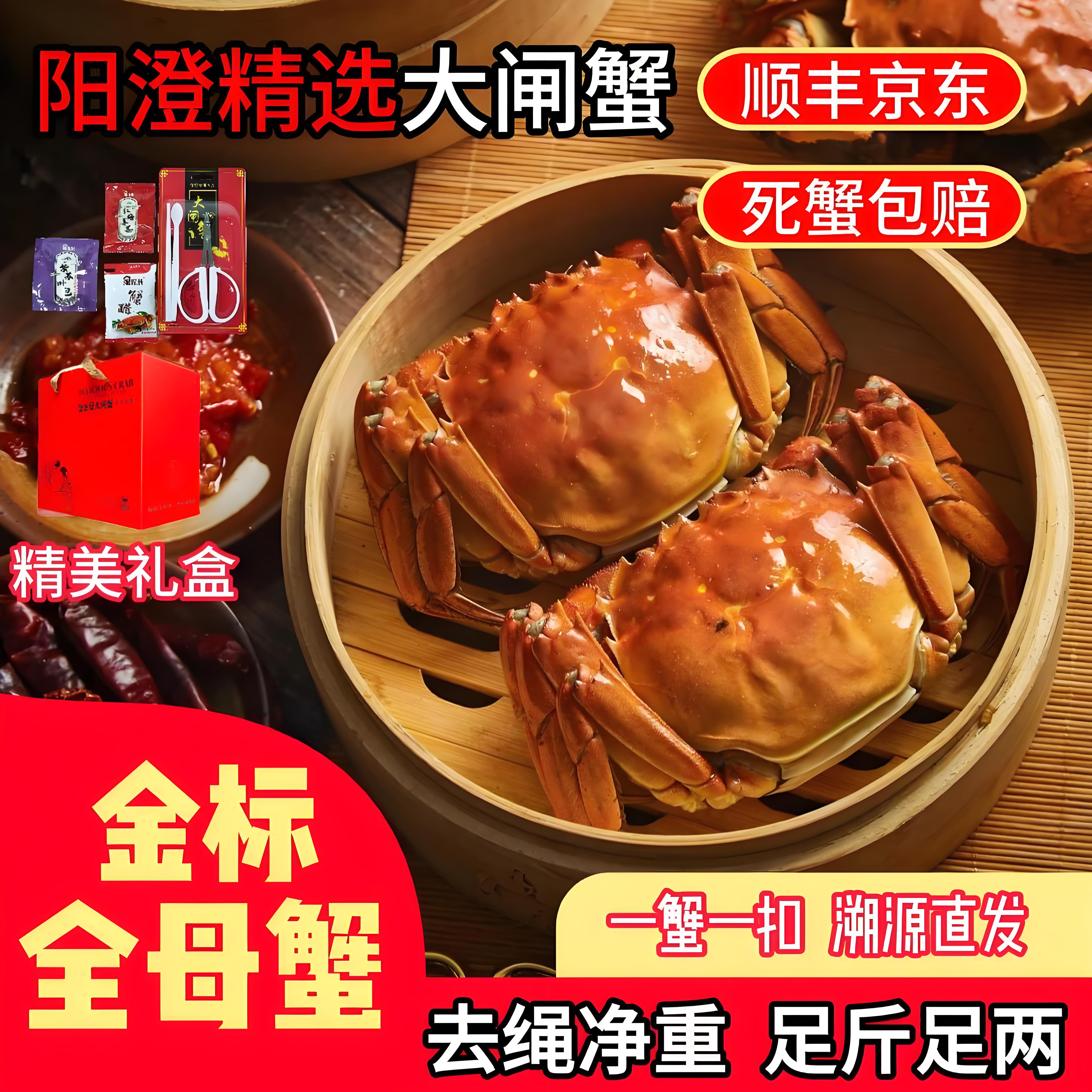 活蟹现货 鲜活大闸蟹母蟹4.0-3.7两8只/10只装 顺丰京东冷链发货