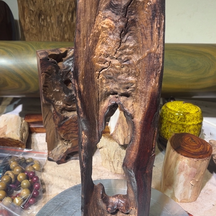 不***)香榧木赞比亚木木木木木木