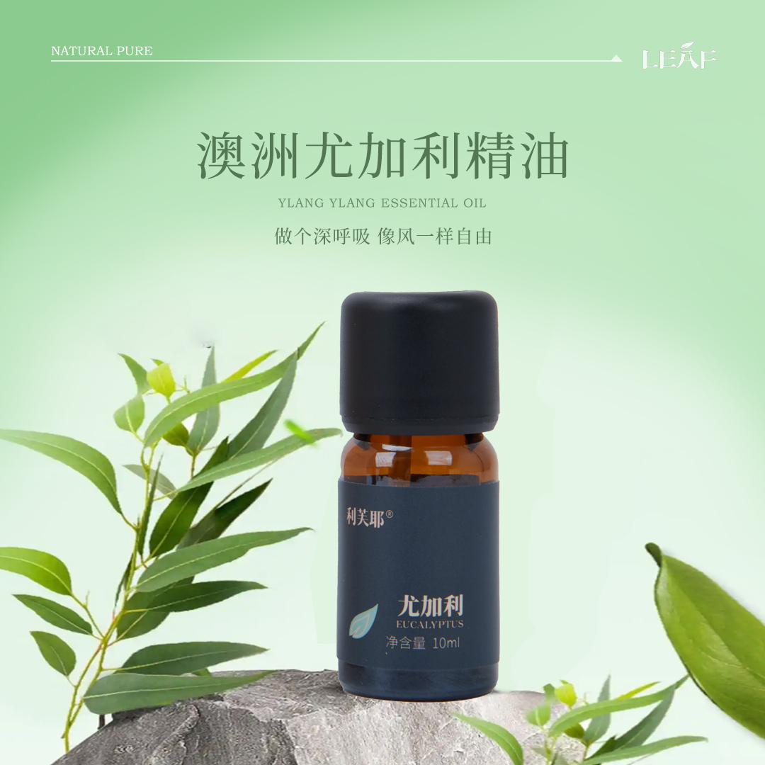 LEAF·利芙耶 尤加利单方精油10ml/瓶 家用香薰