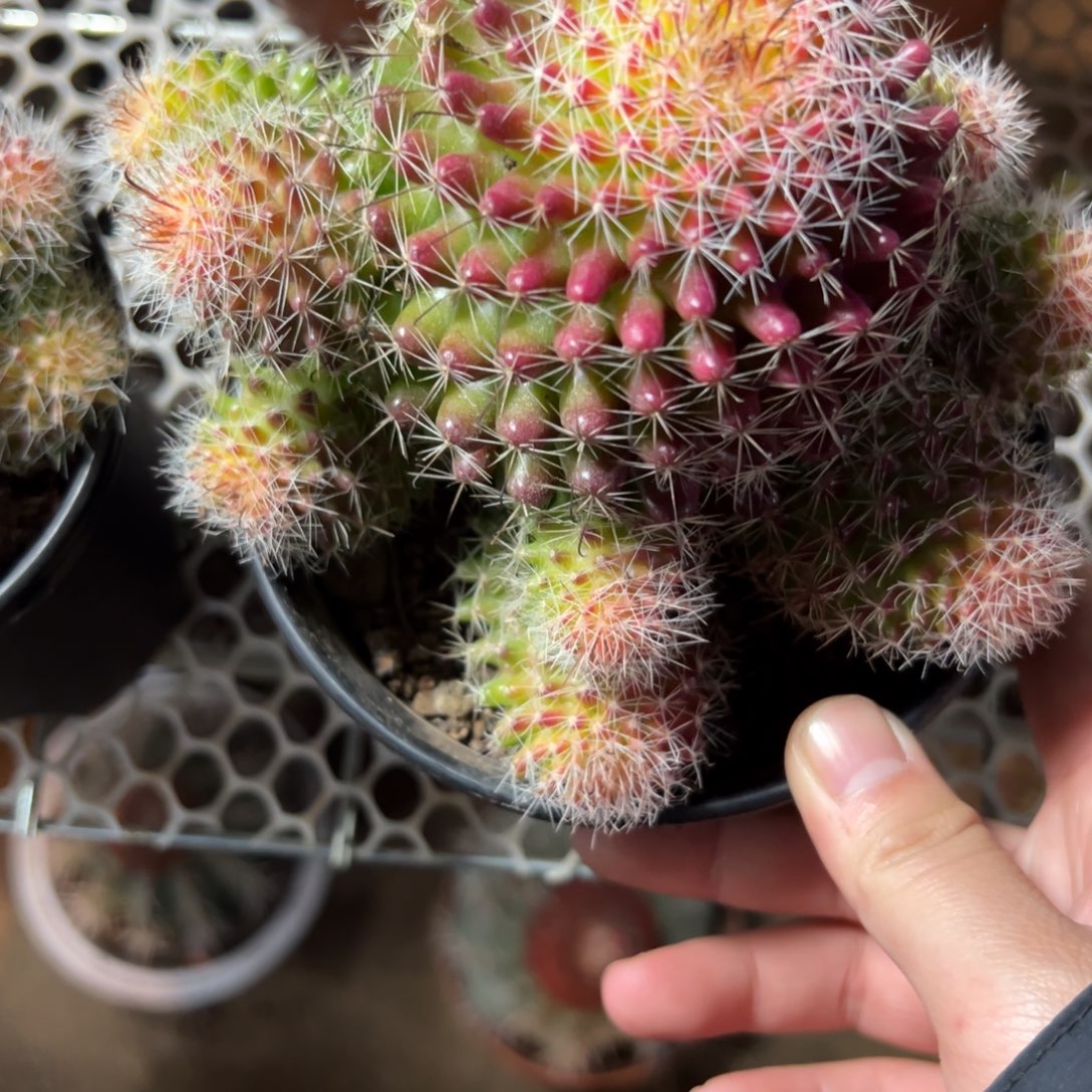 飞****哈哈哈哈哈哈哈哈哈哈