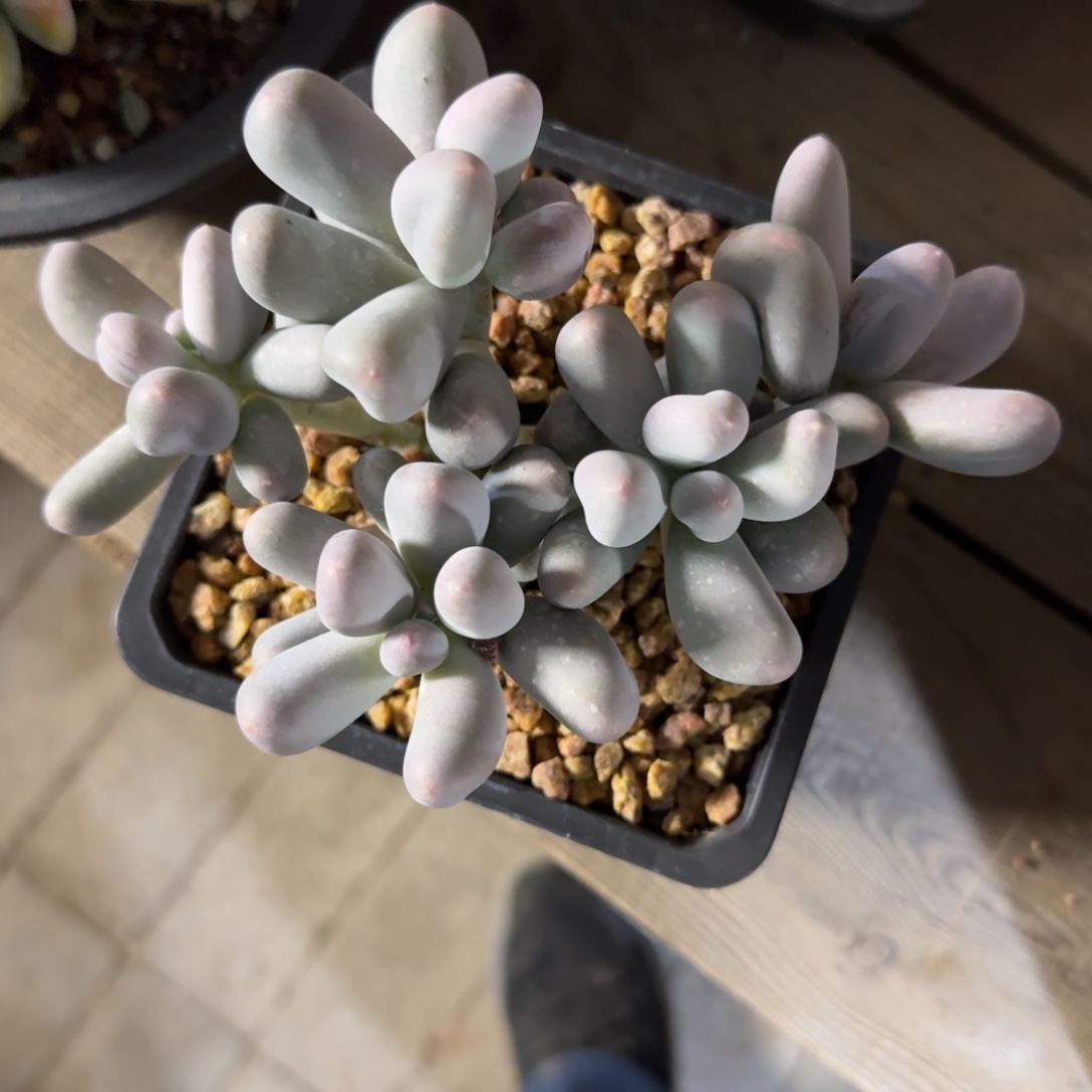 向****1111111111111111111