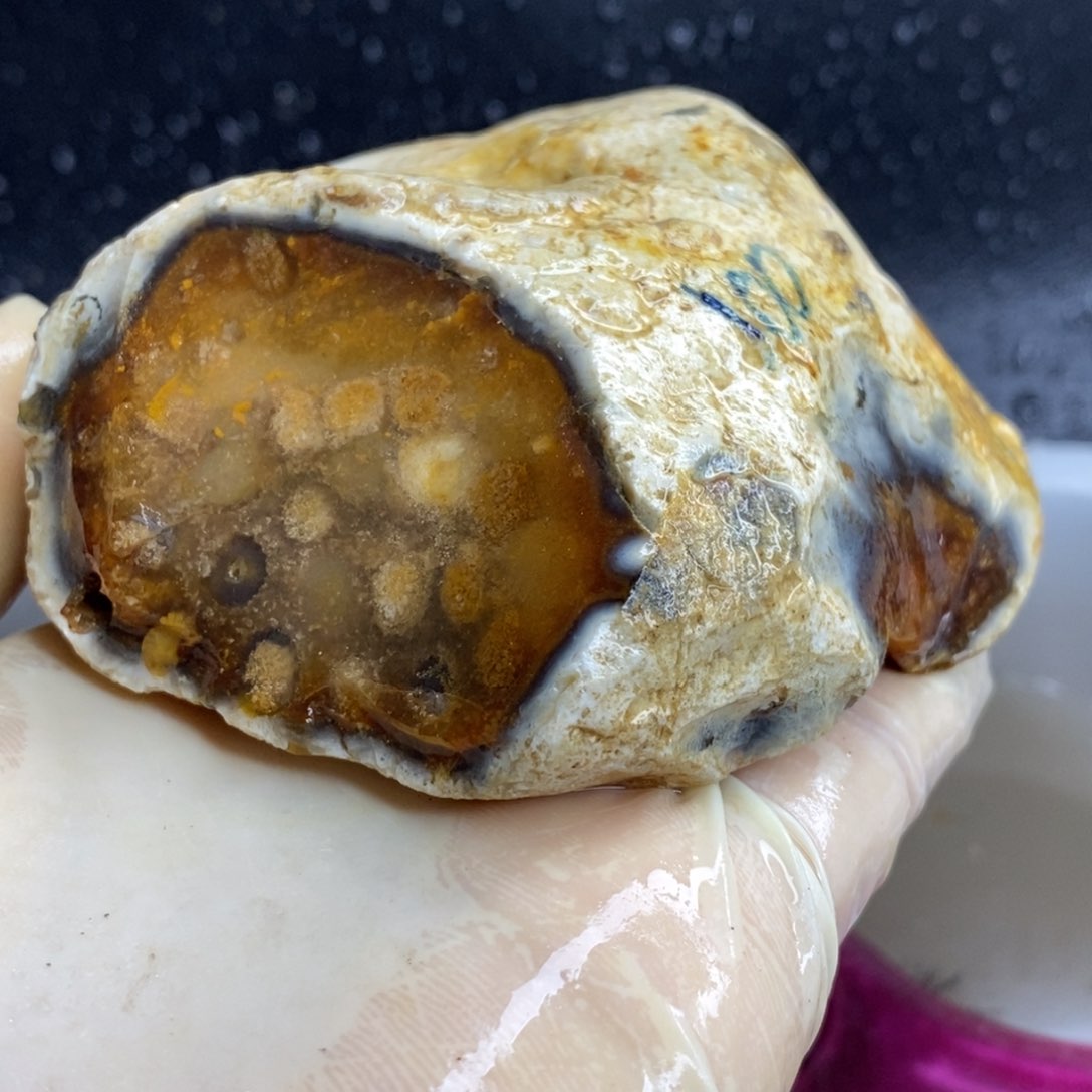 【闪购商品】硅化玉颈饰未镶嵌
