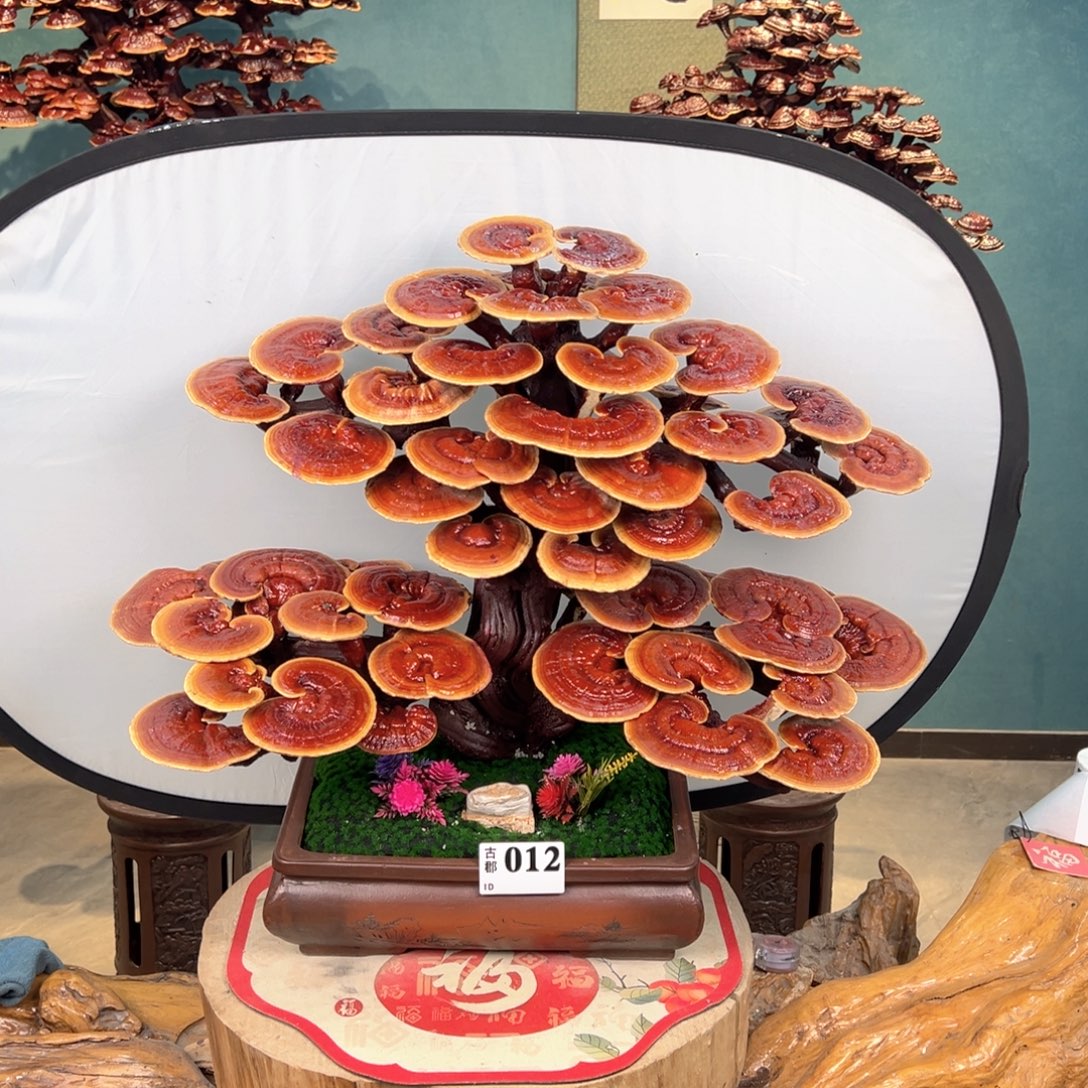 无花朵888088888888