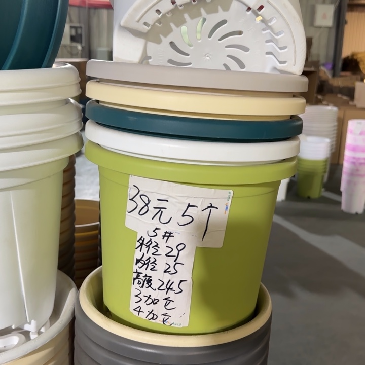 四季5#口径29无托果绿5个