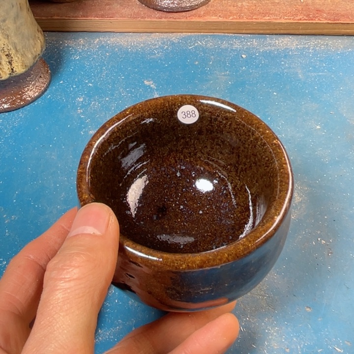 茶宠盏盏灯都是我的爱啊