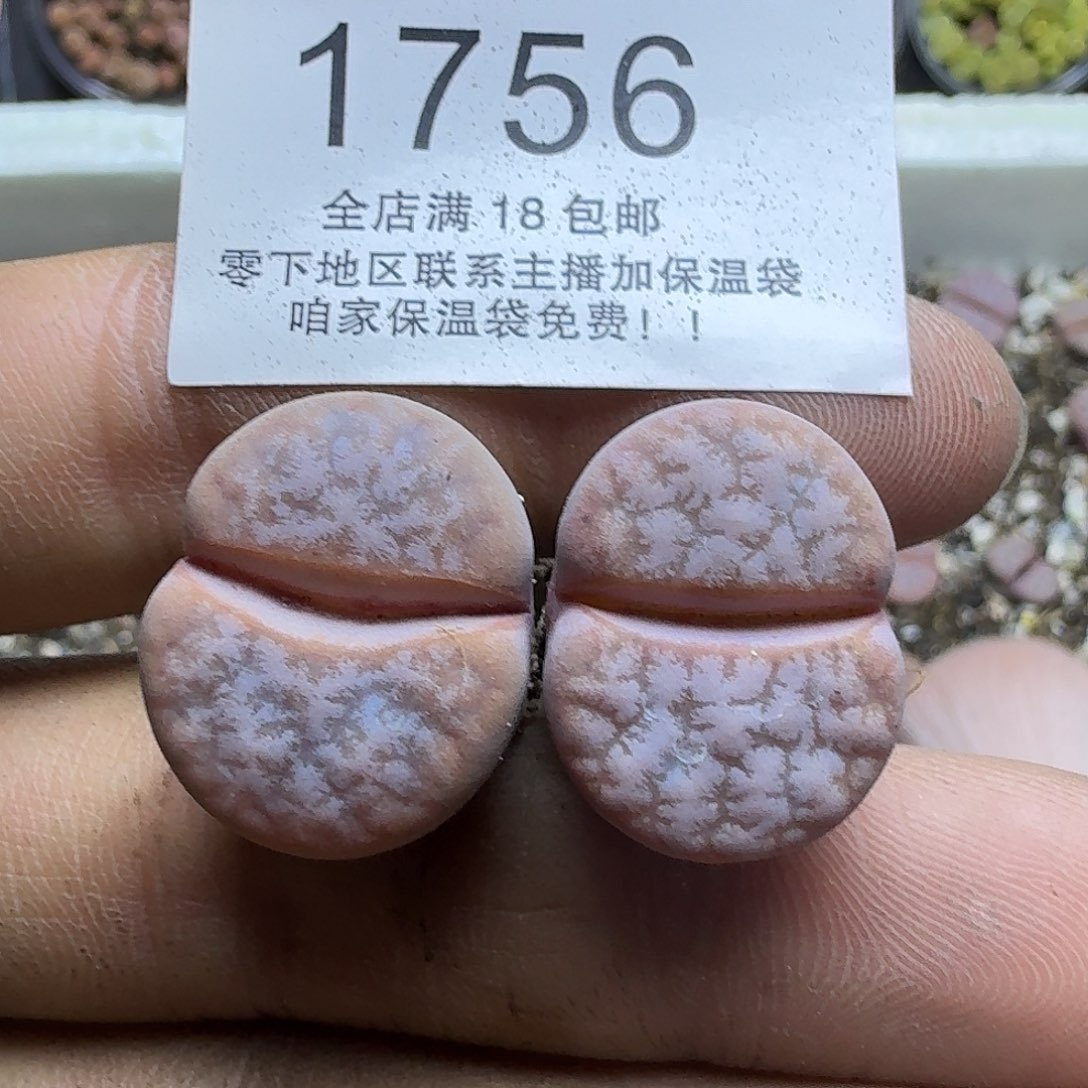 愉***悦1756 哈哈哈哈哈哈哈哈哈