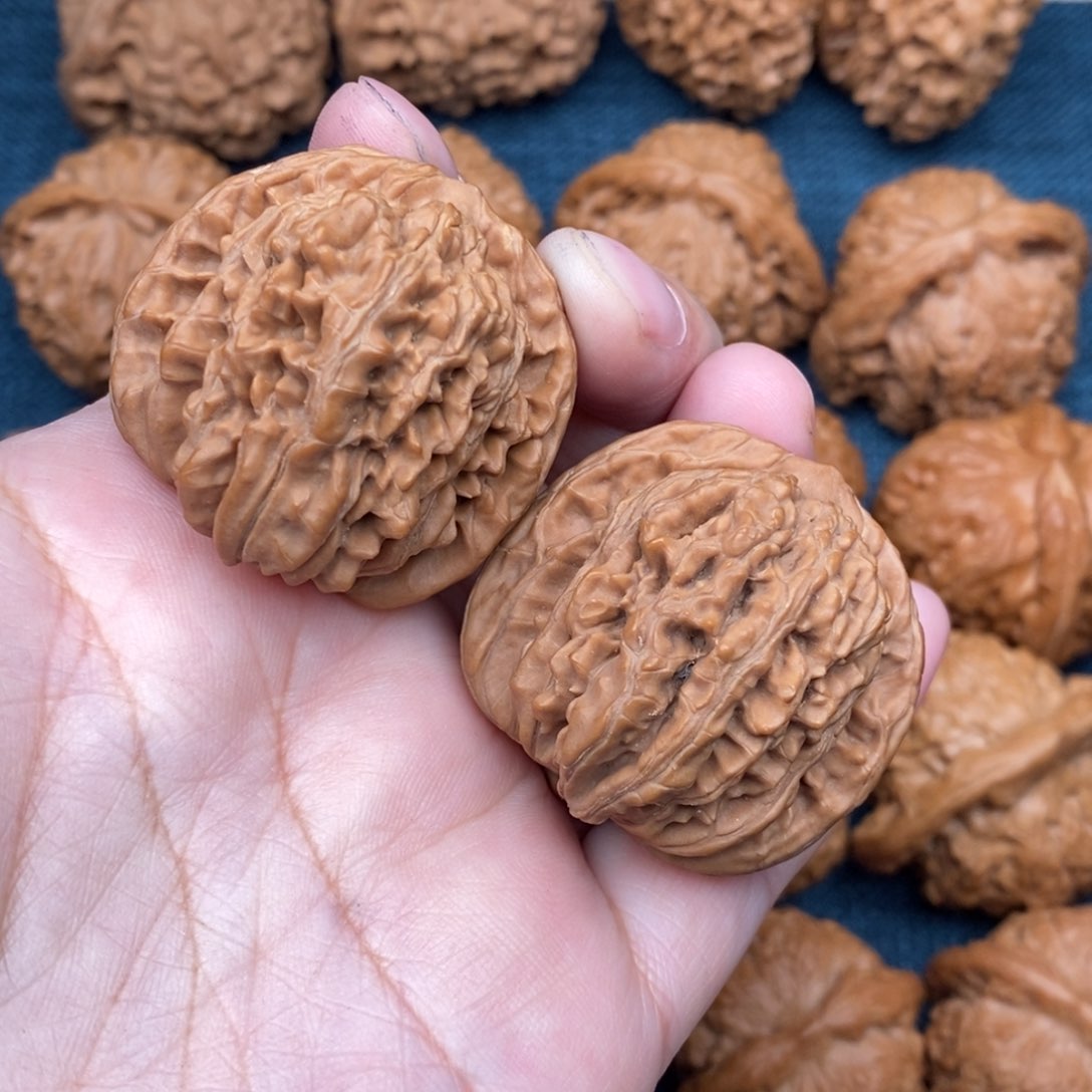 文玩核桃把件38老树汉高楼全品