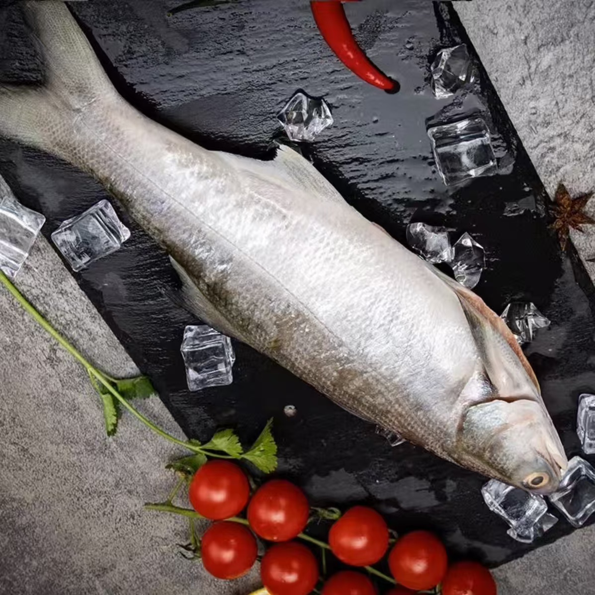 野生马友鱼3条 午鱼午笋鱼南海海鱼博贺渔港直发（合计3.5斤以上）