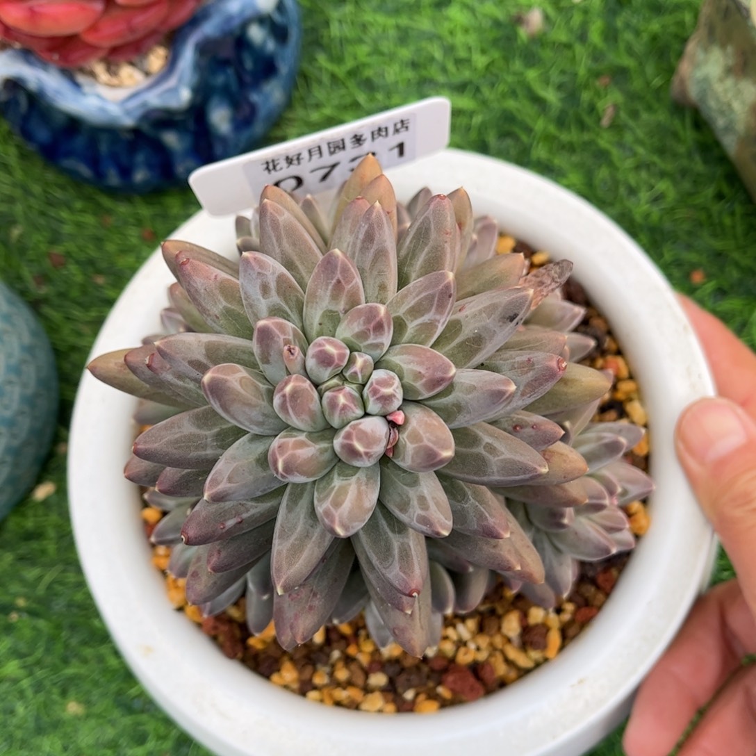 倪***玲0731 满30包邮，天冷必拍保温箱