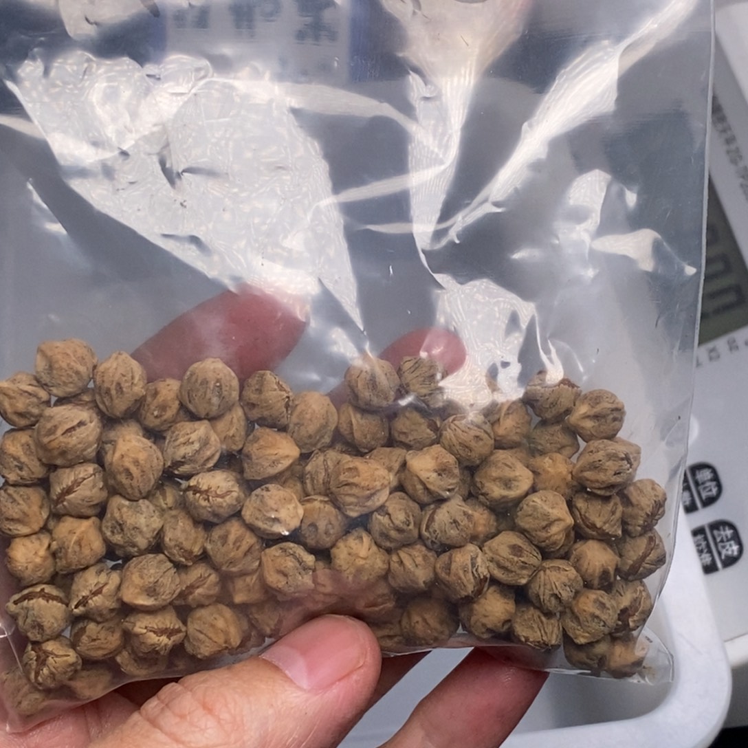 千***行柏香籽/百香籽吊坠