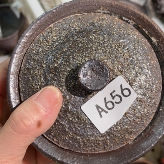 福利多多福利多多