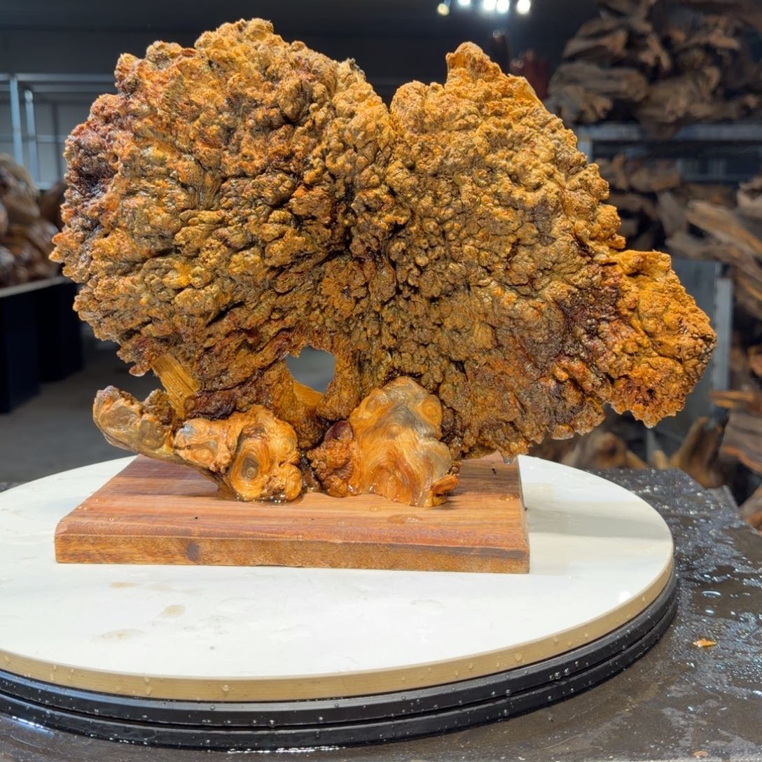 衡***园木一刀琥珀木 天然摆件22