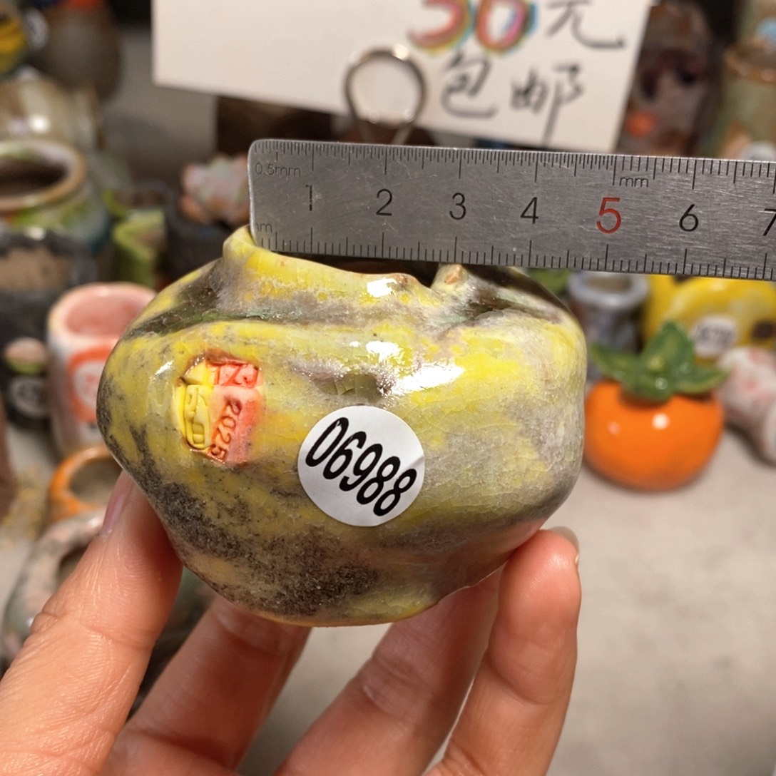 花盆拍3送一个小礼物