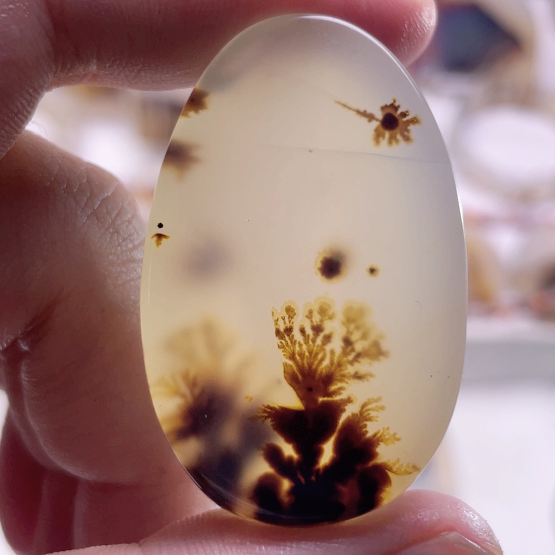 玛瑙/玉髓未镶嵌珠宝奇石