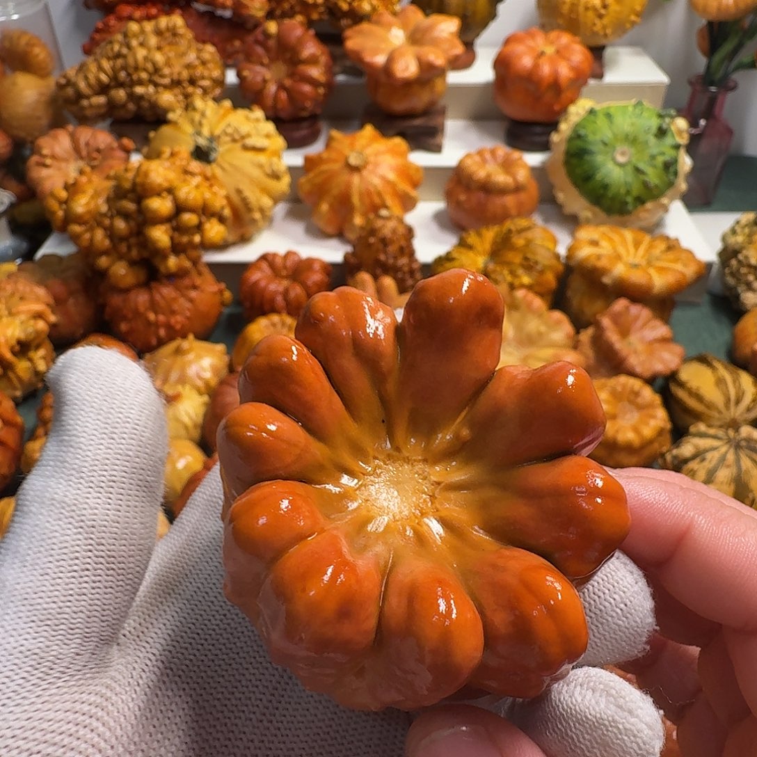 小***儿墨西哥葫芦特价不退换