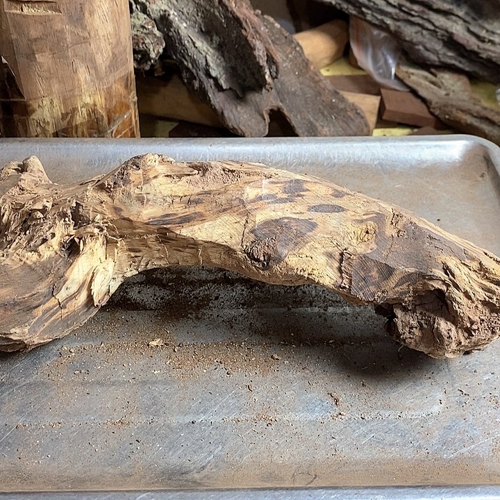 黄花梨/降香黄檀弗*斯