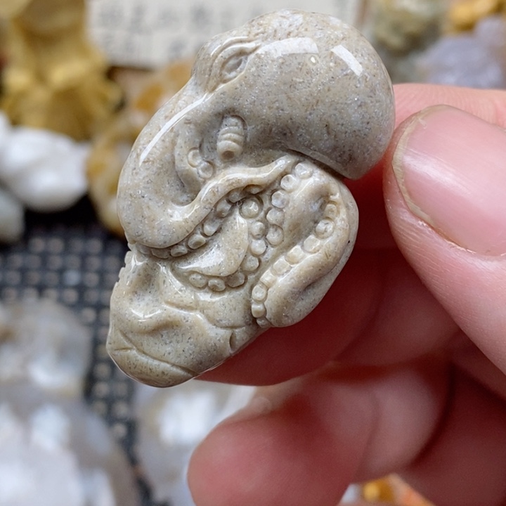 颈饰未镶嵌硅化珊瑚（珊瑚玉）