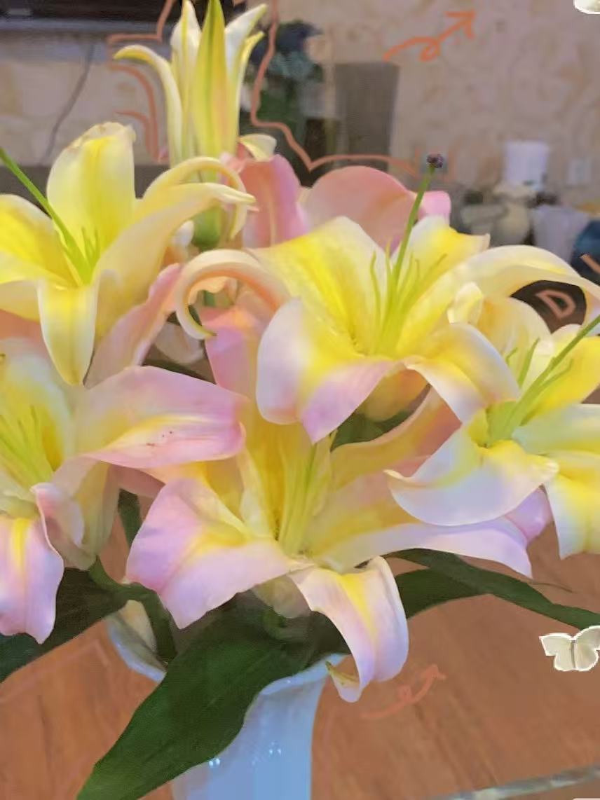 魔咒香水百合百合花