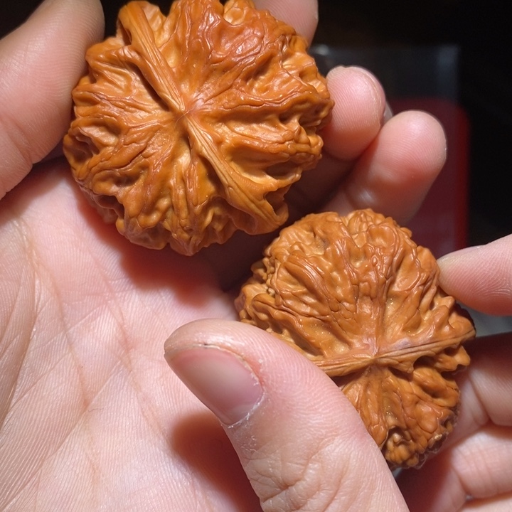 用***0文玩核桃吊坠精品课程建设的基本理论第二