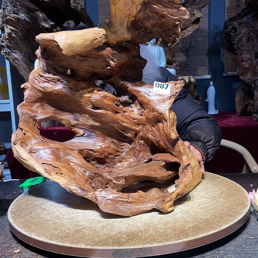 ࿐***༗087。红杉根随行根艺