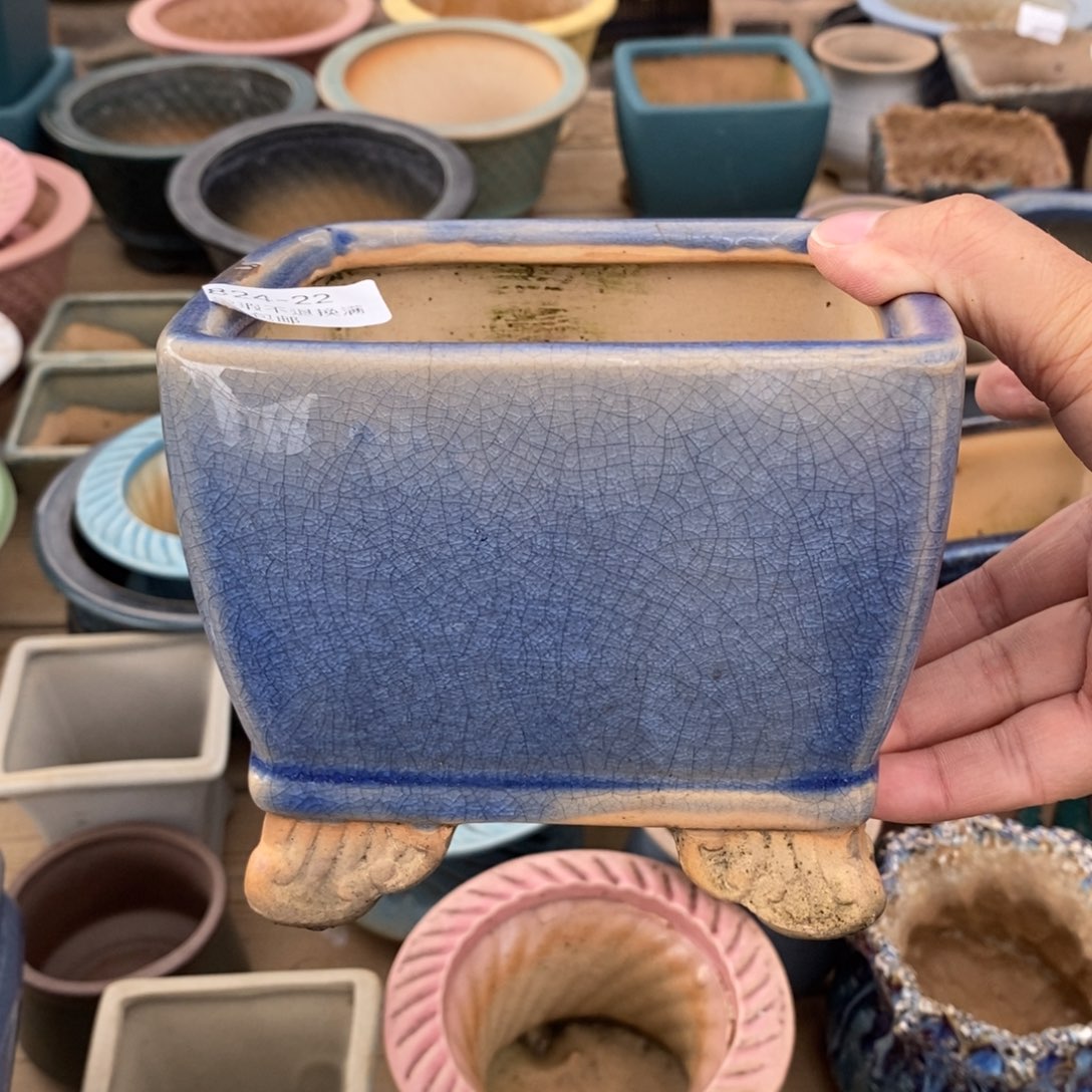 22号多肉盆口径11