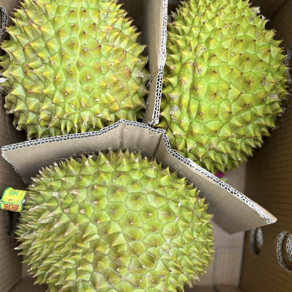 越南干尧一份鲜榴莲 核大4～6斤左右一物一拍干尧越南