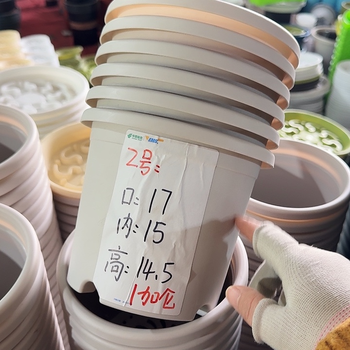 四季2#口径17灰白6个无托