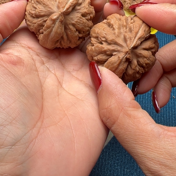 吊坠桃核文玩霸王龙