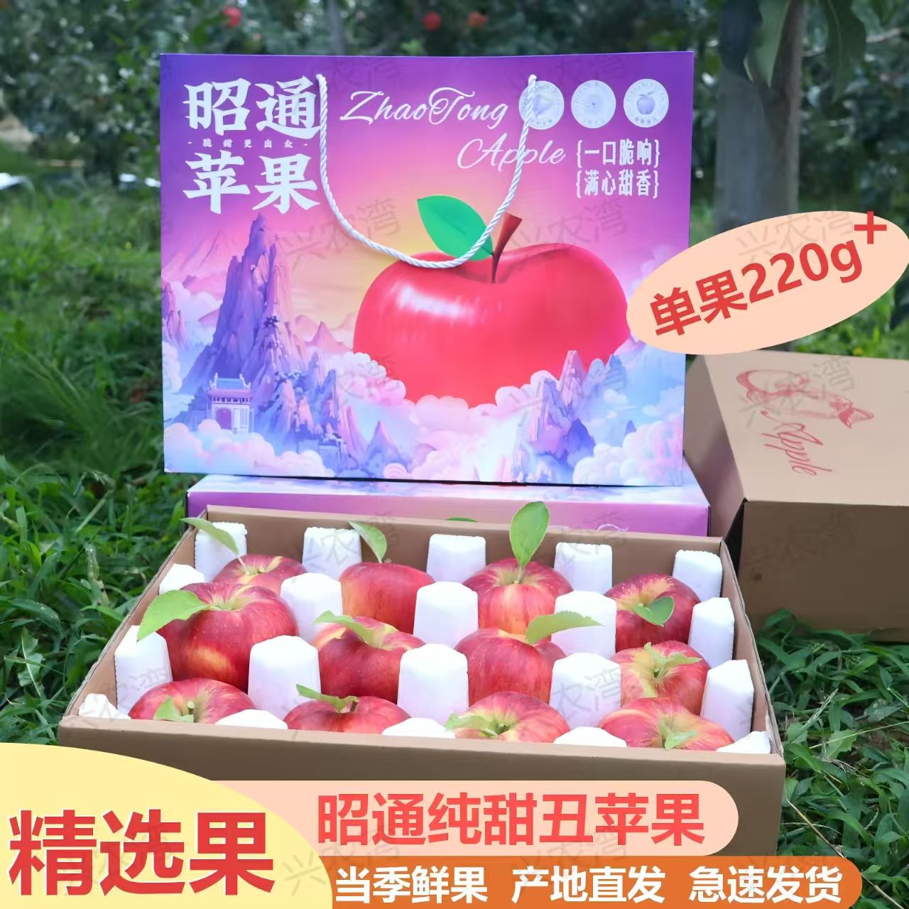 2025年正宗云南昭通丑苹果新鲜现摘脆甜多汁营养丰富水果 送礼装