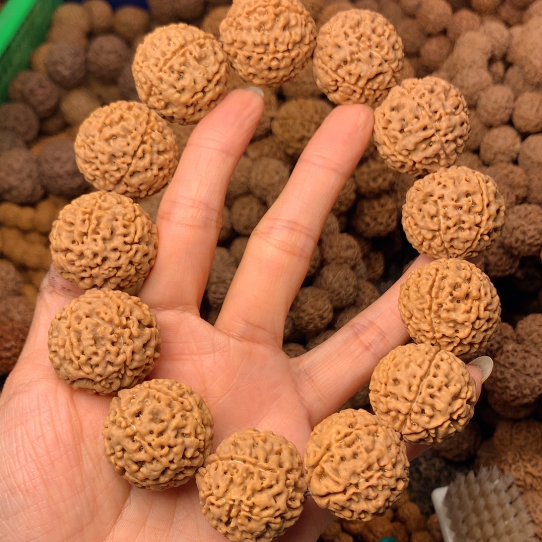 木7瓣爆肉卡27尺寸，62号