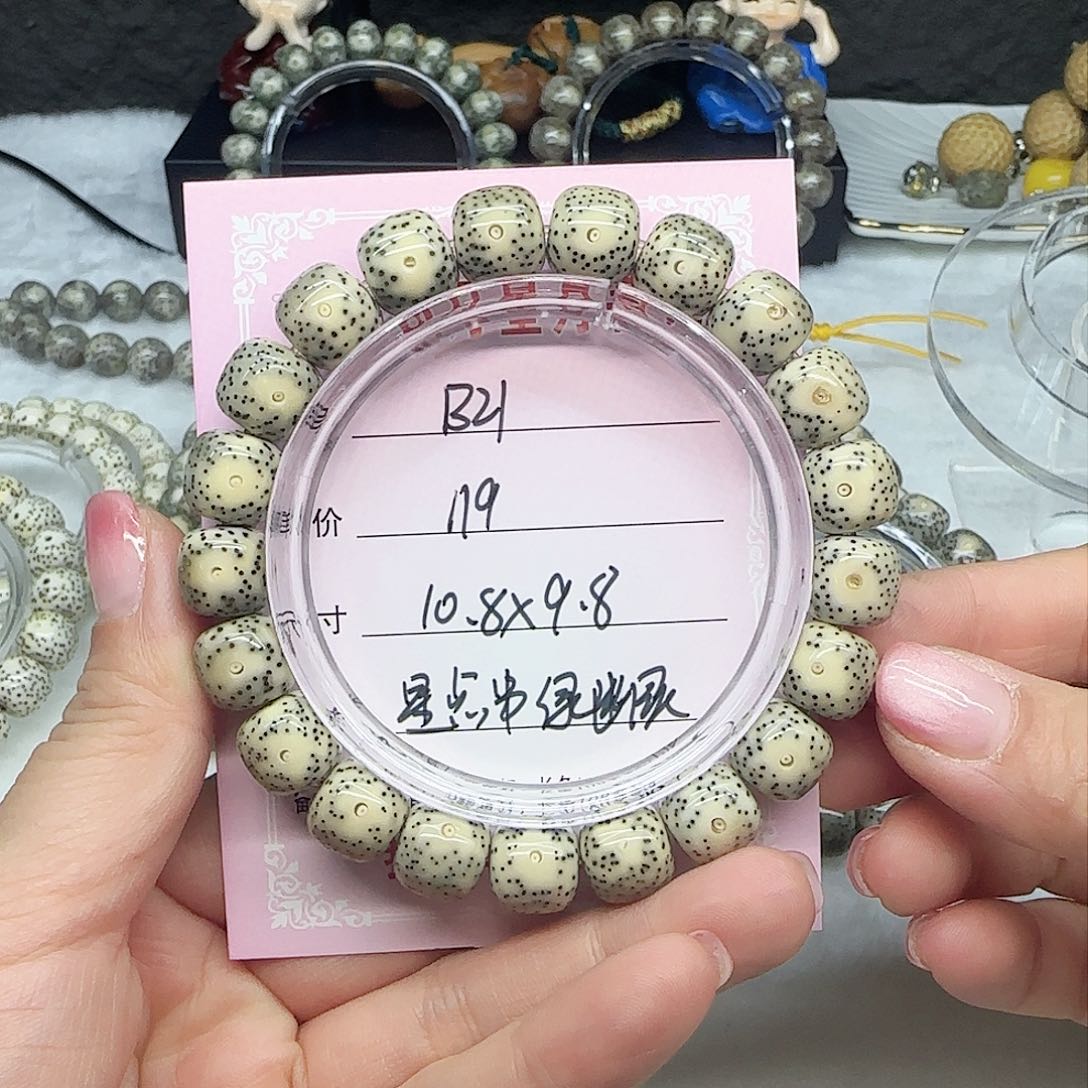 心月星月菩提一号B21