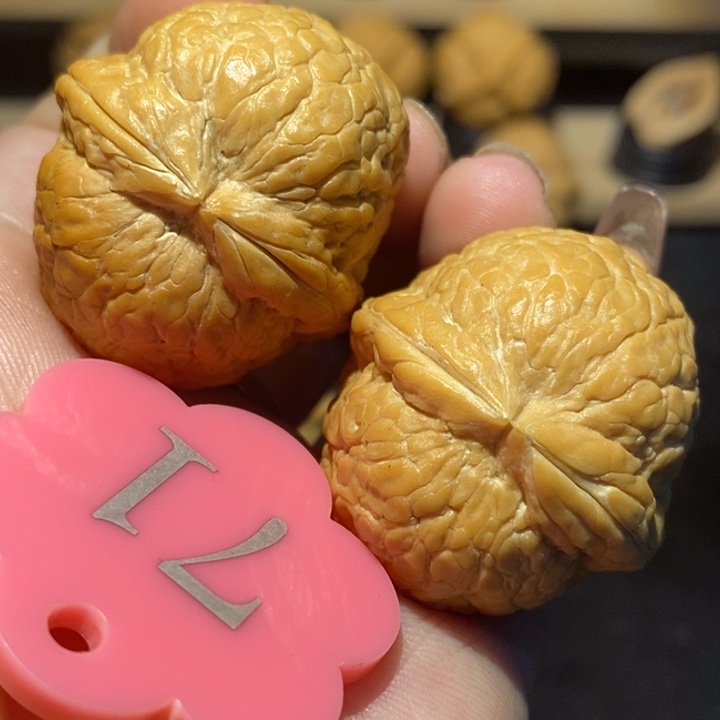 核桃大西瓜37核桃尺寸