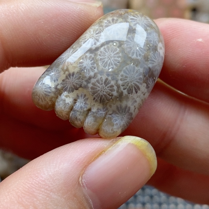 硅化珊瑚（珊瑚玉）颈饰未镶嵌