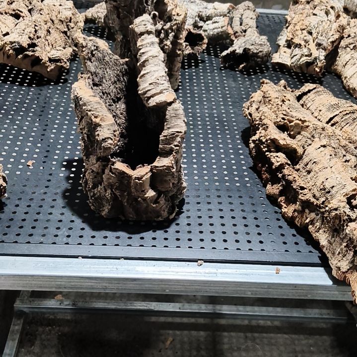 有***地一物一拍一物一发
