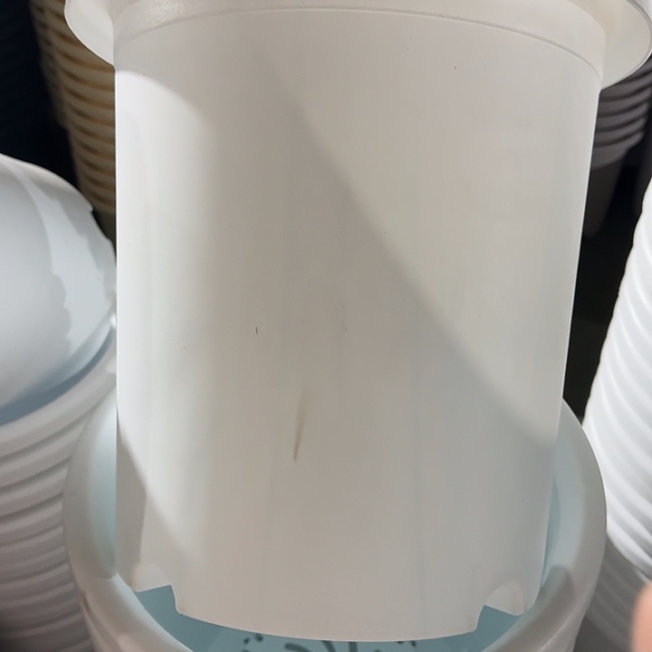 四季7号纯白无托6个磨损